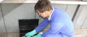 Rodent Removal and Control