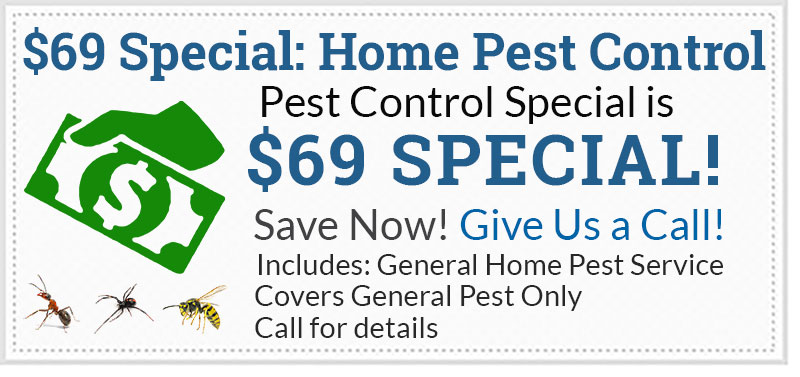 GAM Coupon 31